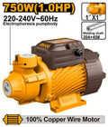 Pompe à Eau 750 W 1 HP - INGCO VPM75068
